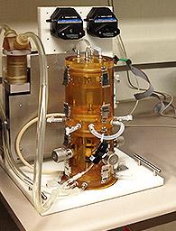 heart valve bio reactor